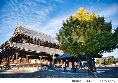 東本願寺的秋天 2021年秋天 東本願寺的秋天 2021年秋天 85805879