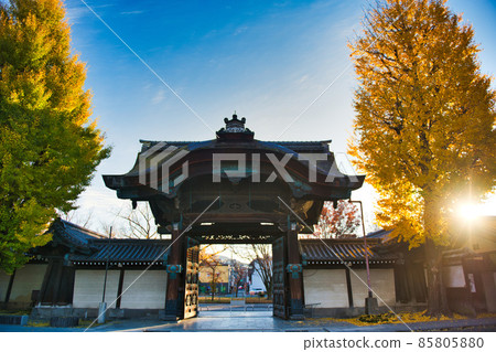 東本願寺的秋天 2021年秋天 85805880