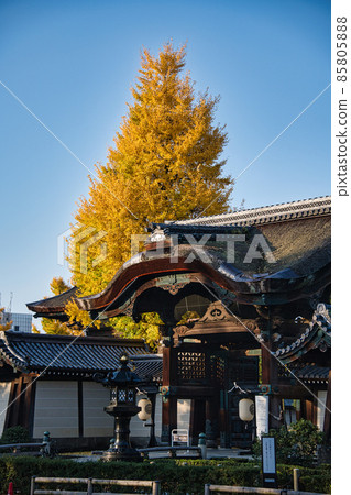 Autumn of Higashi Honganji Temple 2021 Autumn 85805888