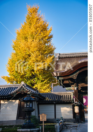 東本願寺的秋天 2021年秋天 東本願寺的秋天 2021年秋天 85805907