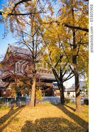 Autumn of Higashi Honganji Temple 2021 Autumn Autumn of Higashi Honganji Temple 2021 Autumn 85805908