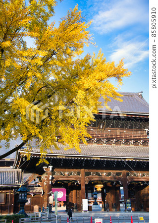 Autumn of Higashi Honganji Temple 2021 Autumn Autumn of Higashi Honganji Temple 2021 Autumn 85805910