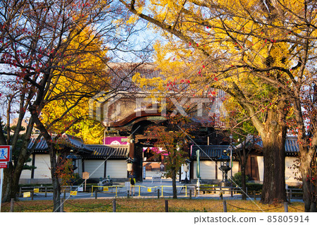 東本願寺的秋天 2021年秋天 85805914
