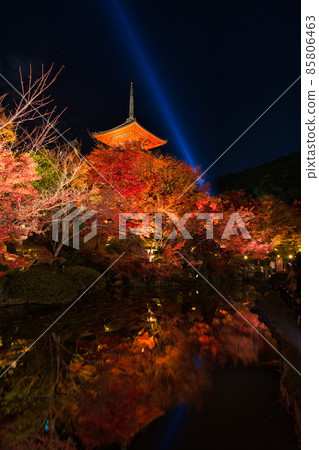 清水寺之夜特別參觀 2021 年秋季 清水寺之夜特別參觀 2021 年秋季 85806463