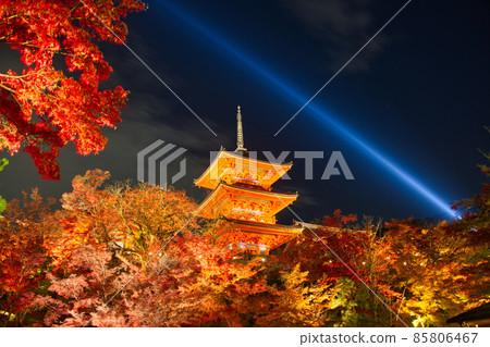Kiyomizu-dera Night Special Visit Autumn 2021 Kiyomizu-dera Night Special Visit Autumn 2021 85806467