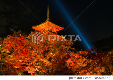 Kiyomizu-dera Night Special Visit Autumn 2021 85806468