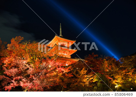 Kiyomizu-dera Night Special Visit Autumn 2021 85806469