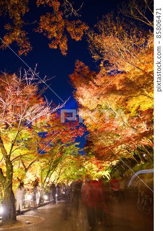 清水寺之夜特別參觀 2021 年秋季 85806471