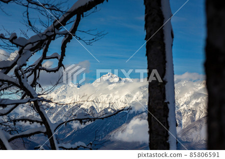Snow-covered mountain ranges covered with coniferous forests in the clouds Snow-covered mountain ranges covered with coniferous forests in the clouds 85806591