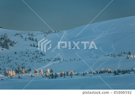 Snowcat tracks on a ridge covered with fir trees in Sheregesh in winter Snowcat tracks on a ridge covered with fir trees in Sheregesh in winter 85806592