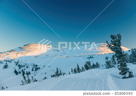 Snowcat tracks on a ridge covered with fir trees in Sheregesh in winter 85806593