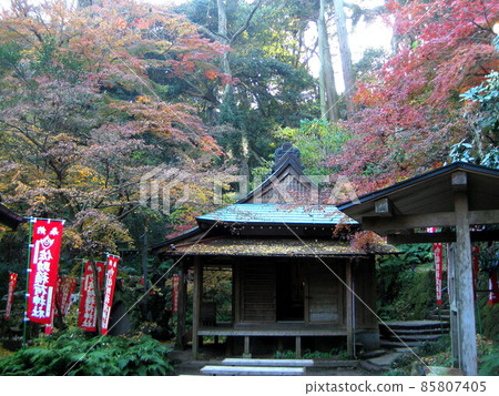 Kamakura Sasuke Inari precincts 85807405