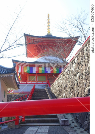 Nakayama-ji Tower 85807460