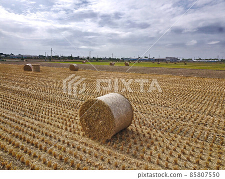 Straw bales on harvested field. 85807550