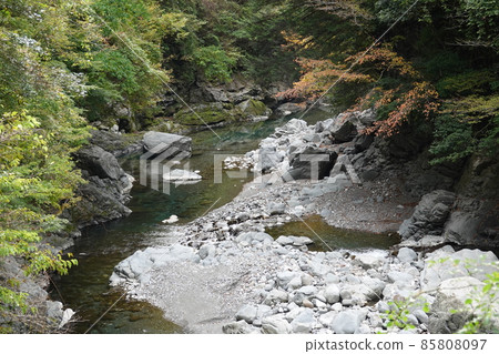 Miyama's clear stream Naka River and riverbank 85808097