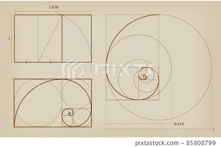GOLDEN RATIO Golden ratio figure - Stock Illustration [85808799] - PIXTA