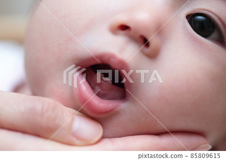 Milk teeth on a 0 year old baby Milk teeth on a 0 year old baby 85809615