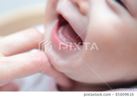 Milk teeth on a 0 year old baby Milk teeth on a 0 year old baby 85809616