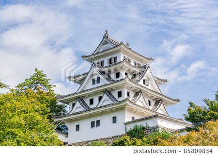 岐阜縣郡上市八幡町晴天的郡上八幡城 岐阜縣郡上市八幡町晴天的郡上八幡城 85809834