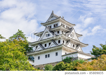 Gujo Hachiman Castle in sunny weather, Hachiman Town, Gujo City, Gifu Prefecture Gujo Hachiman Castle in sunny weather, Hachiman Town, Gujo City, Gifu Prefecture 85809835