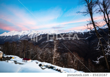 Snow-capped mountain ranges in the morning, covered with coniferous forests 85810167