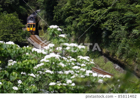 平溪支線 85811402