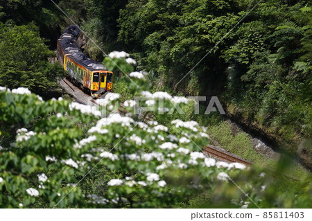 平溪支線 平溪支線 85811403
