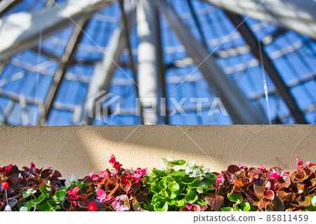 Fukui Prefecture Green Center 85811459