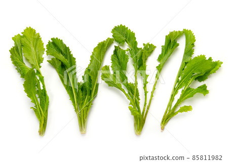 Seriphone Seriphone 85811982