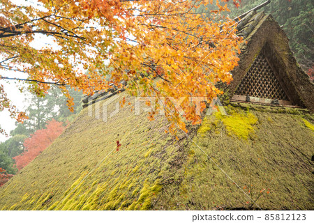 佐賀鳥居本傳統建築保護區 美麗的紅葉 85812123