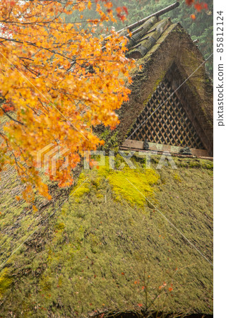 佐賀鳥居本傳統建築保護區 美麗的紅葉 佐賀鳥居本傳統建築保護區 美麗的紅葉 85812124