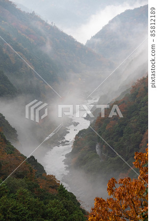 A fantastic and beautiful view of Hozu Gorge surrounded by a sea of clouds 85812189
