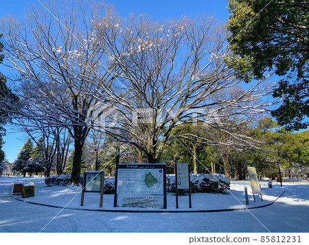 雪景中的代代木公園（2022年1月7日） 85812231