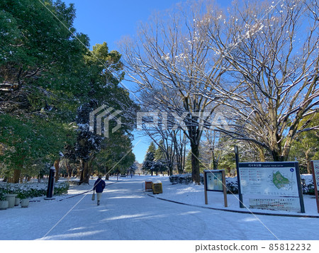 Yoyogi Park in a snowy landscape (January 7, 2022) 85812232