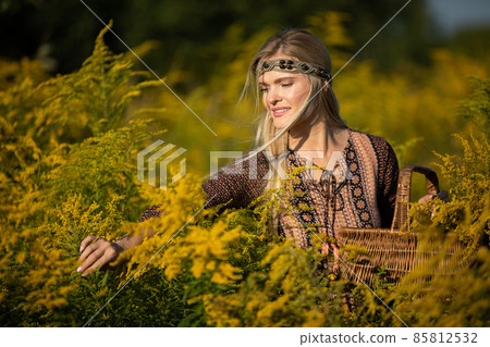 A young herbalist reviews the individual inflorescences of the goldenrod herb. 85812532