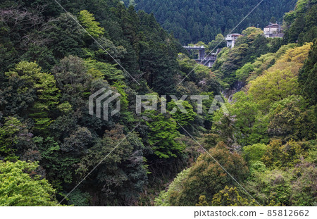 東京/新綠白丸調整池（白丸水壩） 85812662