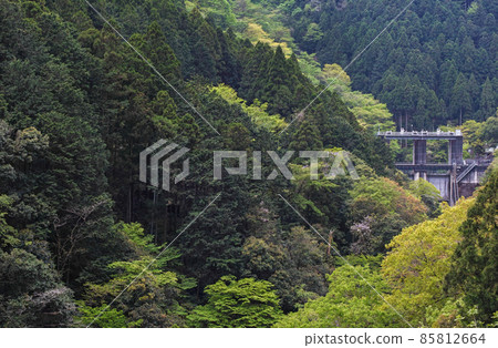 東京/新綠白丸調整池（白丸水壩） 85812664