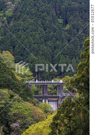 Tokyo / Fresh green Shiromaru adjustment pond (Shiromaru Dam) 85812677