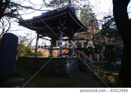 深鞦韆葉縣清水公園（金聯）的大自然 85812986