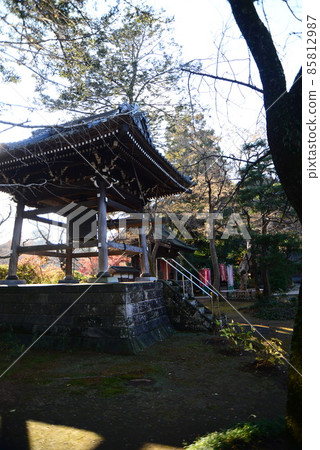 Nature in Shimizu Park (Kinjoin) in Chiba Prefecture in late autumn 85812987
