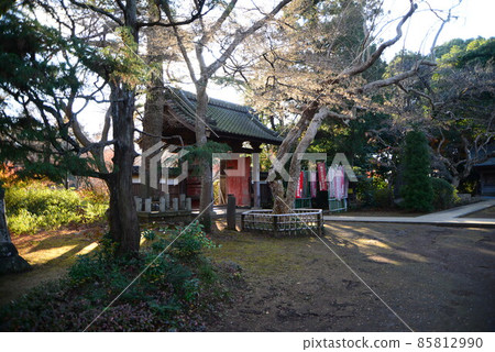 Nature in Shimizu Park (Kinjoin) in Chiba Prefecture in late autumn 85812990