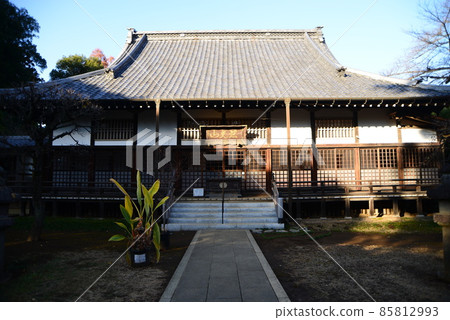Nature in Shimizu Park (Kinjoin) in Chiba Prefecture in late autumn 85812993