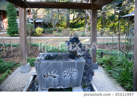 Nature in Shimizu Park (Kinjoin) in Chiba Prefecture in late autumn 85812997