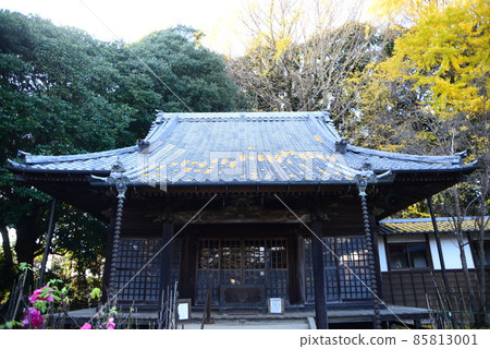 深鞦韆葉縣清水公園（金聯）的大自然 85813001