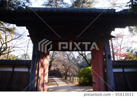 深鞦韆葉縣清水公園（金聯）的大自然 85813011