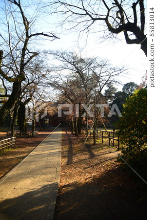 深鞦韆葉縣清水公園（金聯）的大自然 85813014