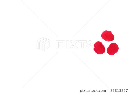 玫瑰紅 紅玫瑰花 花 紅玫瑰 紅花 玫瑰紅 紅玫瑰花 花 紅玫瑰 紅花 85813237