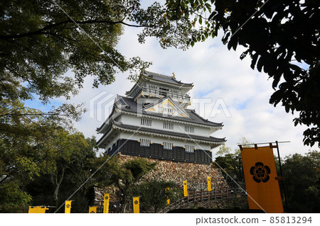 Gifu Castle 85813294