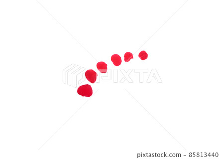 Rose red red rose flower flower red rose red flower Rose red red rose flower flower red rose red flower 85813440