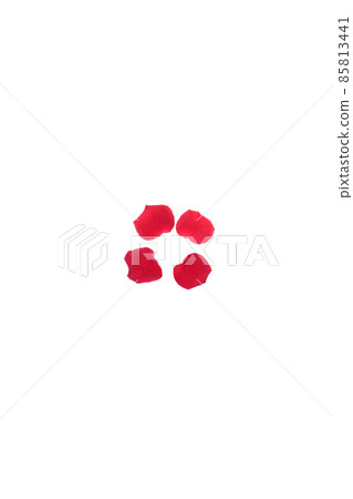 Rose red red rose flower flower red rose red flower Rose red red rose flower flower red rose red flower 85813441